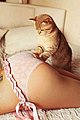 bonus_butts_228.jpg