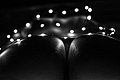 bonus_butts_7186.jpg