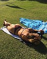 bonus_butts_8288.jpg