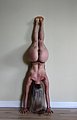bonus_butts_12843.jpg