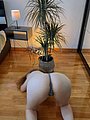 bonus_butts_16704.jpg