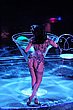 dita_von_teese_51.jpg