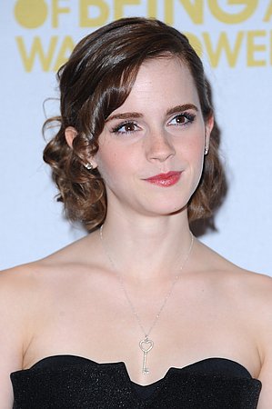 for_emma_watson_lovers_20.jpg