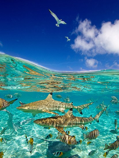8578.jpg