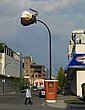 4037.jpg