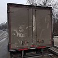 ff_18003.jpg