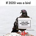 20304.jpg