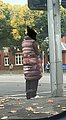 24015.jpg