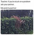 24035.jpg
