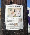 24040.jpg