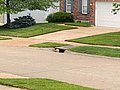 24041.jpg