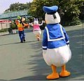 24491.jpg