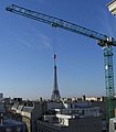 24557.jpg