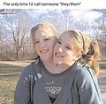 24582.jpg