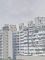 25037.jpg