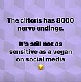 25067.jpg
