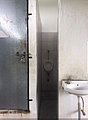 25261.jpg