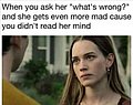 25337.jpg