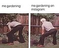25383.jpg