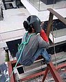 25405.jpg