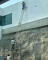 25440.jpg