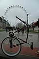 25444.jpg