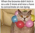 25488.jpg