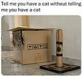 25685.jpg