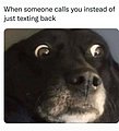 25742.jpg