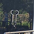25770.jpg