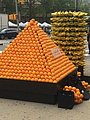 25848.jpg
