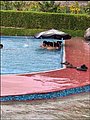 26031.jpg