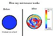 5530.jpg