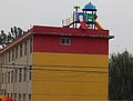 8591.jpg