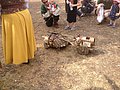 8632.jpg