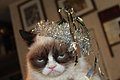 happy_new_year_2015_09.jpg