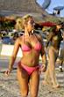 phun.org_britbeach_10.jpg