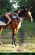 beauties_and_horses_01.jpg