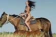 beauties_and_horses_04.jpg